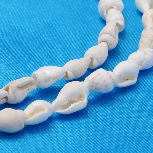 Mušličky trumpetky, návlek