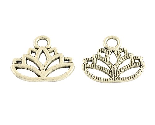 Lotosový květ jednoduchý, starostříbrný, 10ks